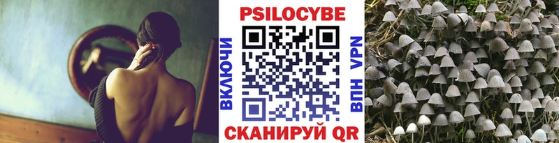 KRAKEN зеркало  Пыталово  даркнет какой сайт  Галлюциногенные грибы прущие грибы 